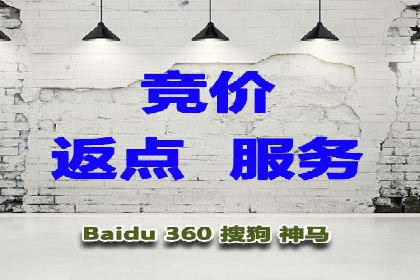 科技公司SEM外包战略的案例研究